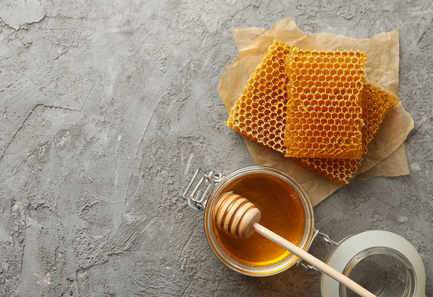 Why Are Bees Important?