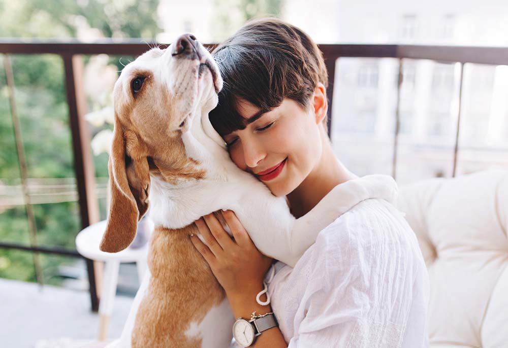 Do Dogs Need Vitamins and Supplements?