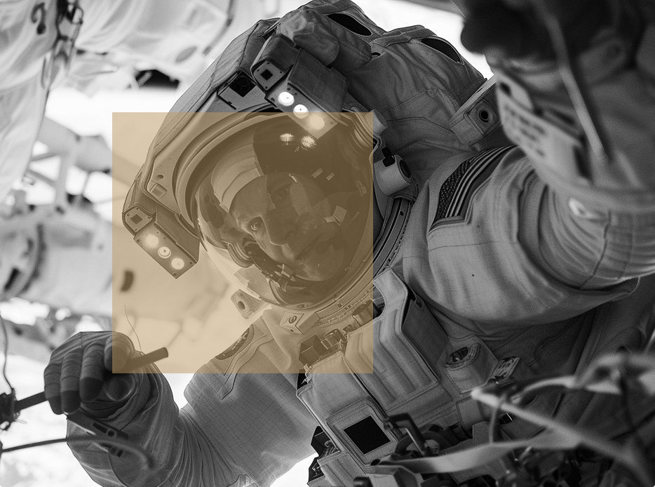 Cellular Regeneration at Every Level