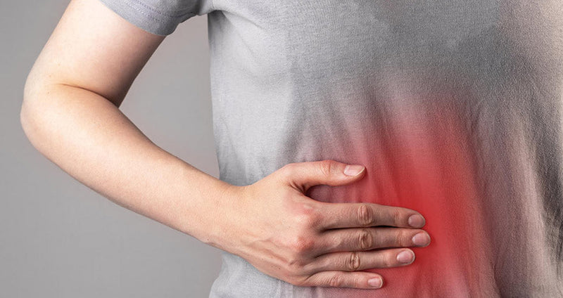 Shilajit for the liver: help to restore liver cells