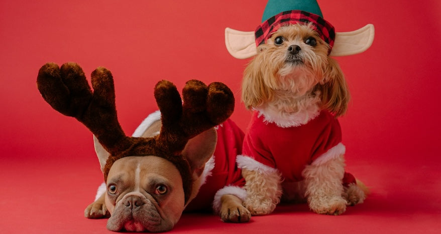 The Best of 2025 Shilajit Guide: Unlock the Full Potential of Pure Shilajit Resin