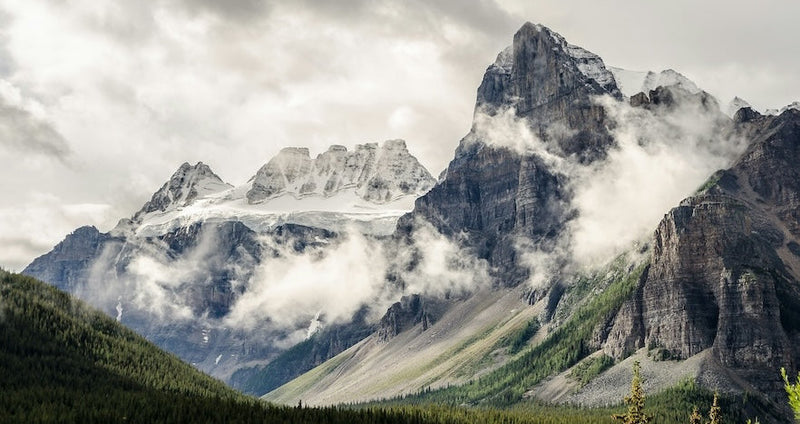 Pure Himalayan Shilajit Resin: Benefits and Quality Guide