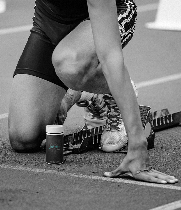 Metabolic Mobility Bundle