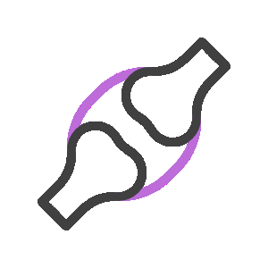 Connective Tissue & Structural Integrity