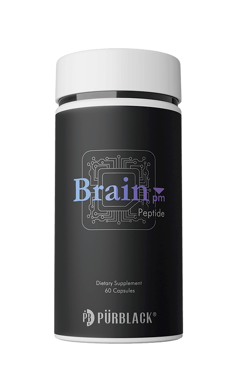 Brain pm