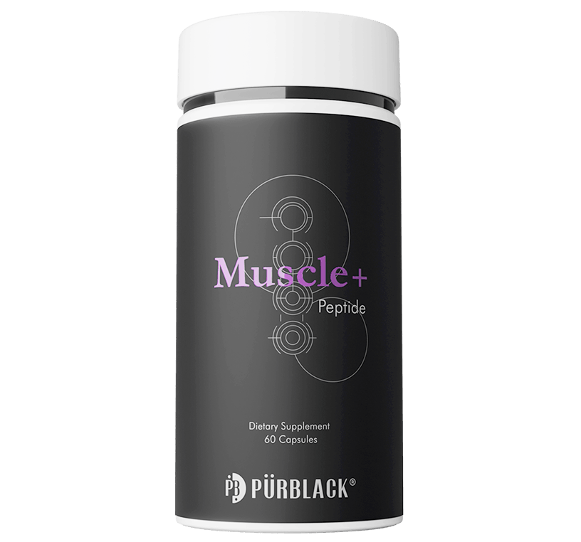 Muscle+