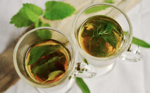 herbal tea herbs tee mint