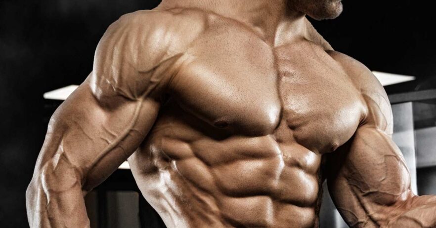 Peptides for muscle growth