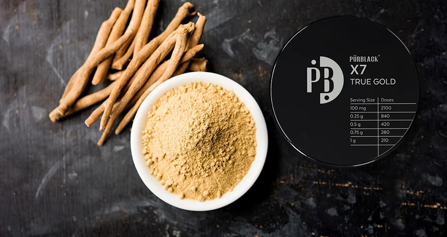 shilajit and ashwagandha