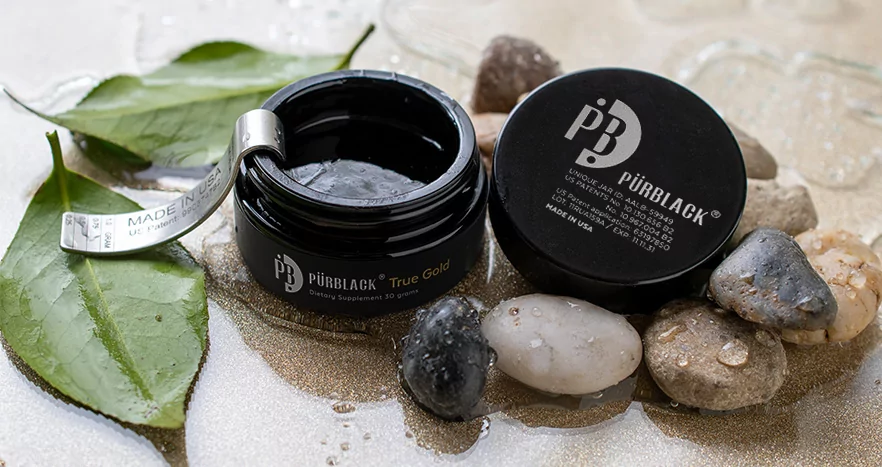 what is shilajit resin