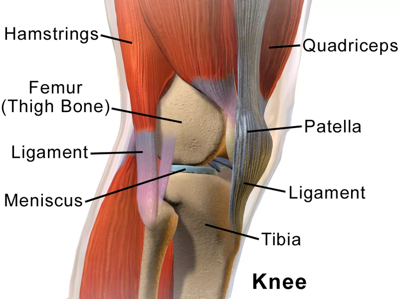 The Benefits of Exercises and Stretching for Joint Health
