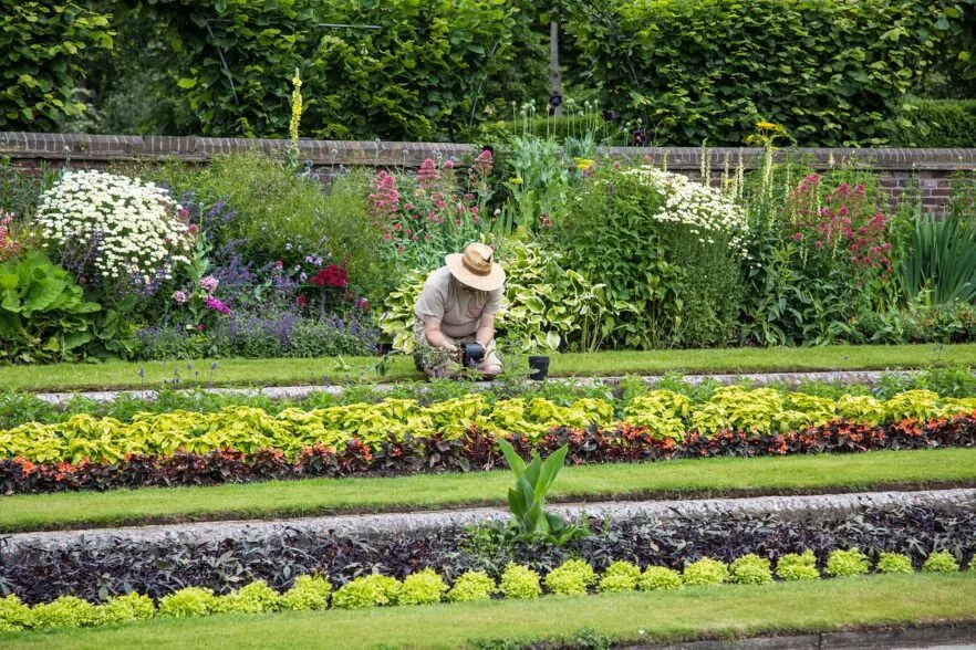 Physical and Mental Health Benefits of Outdoor Activities