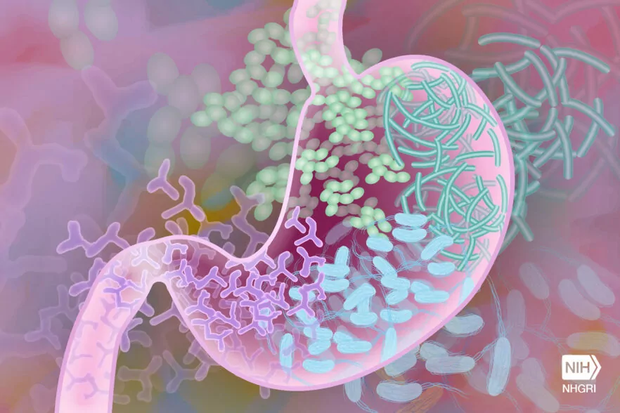 Transform Your Gut Health: The Power of Probiotics
